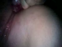 Horny lady putting dog dick inside her pussy